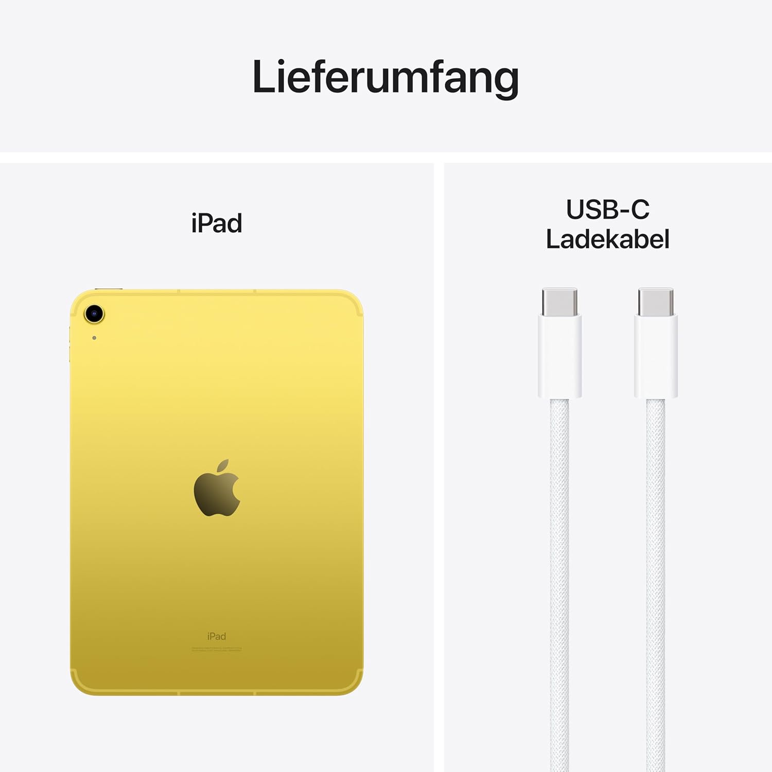Apple 10,9