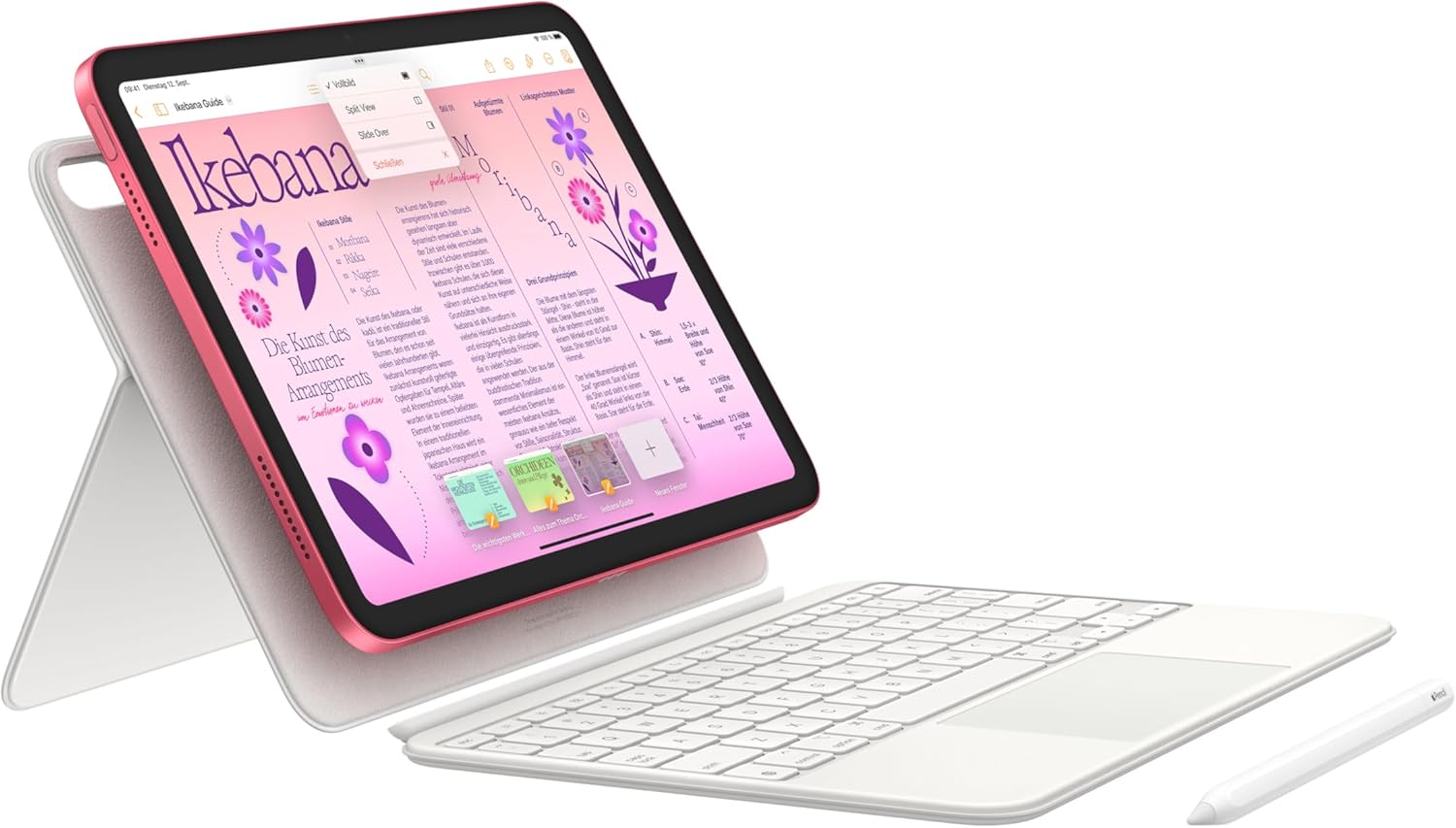 Apple 10,9