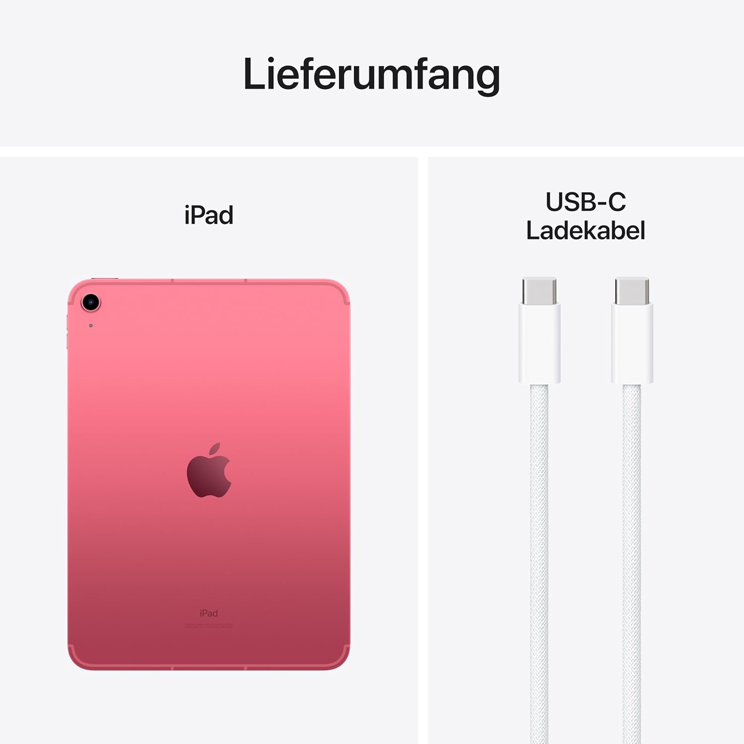 Apple 10,9