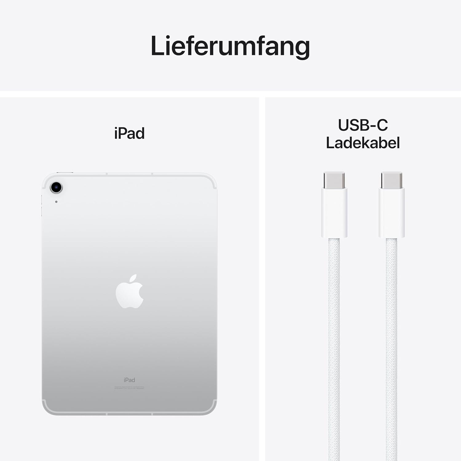 Apple 10,9
