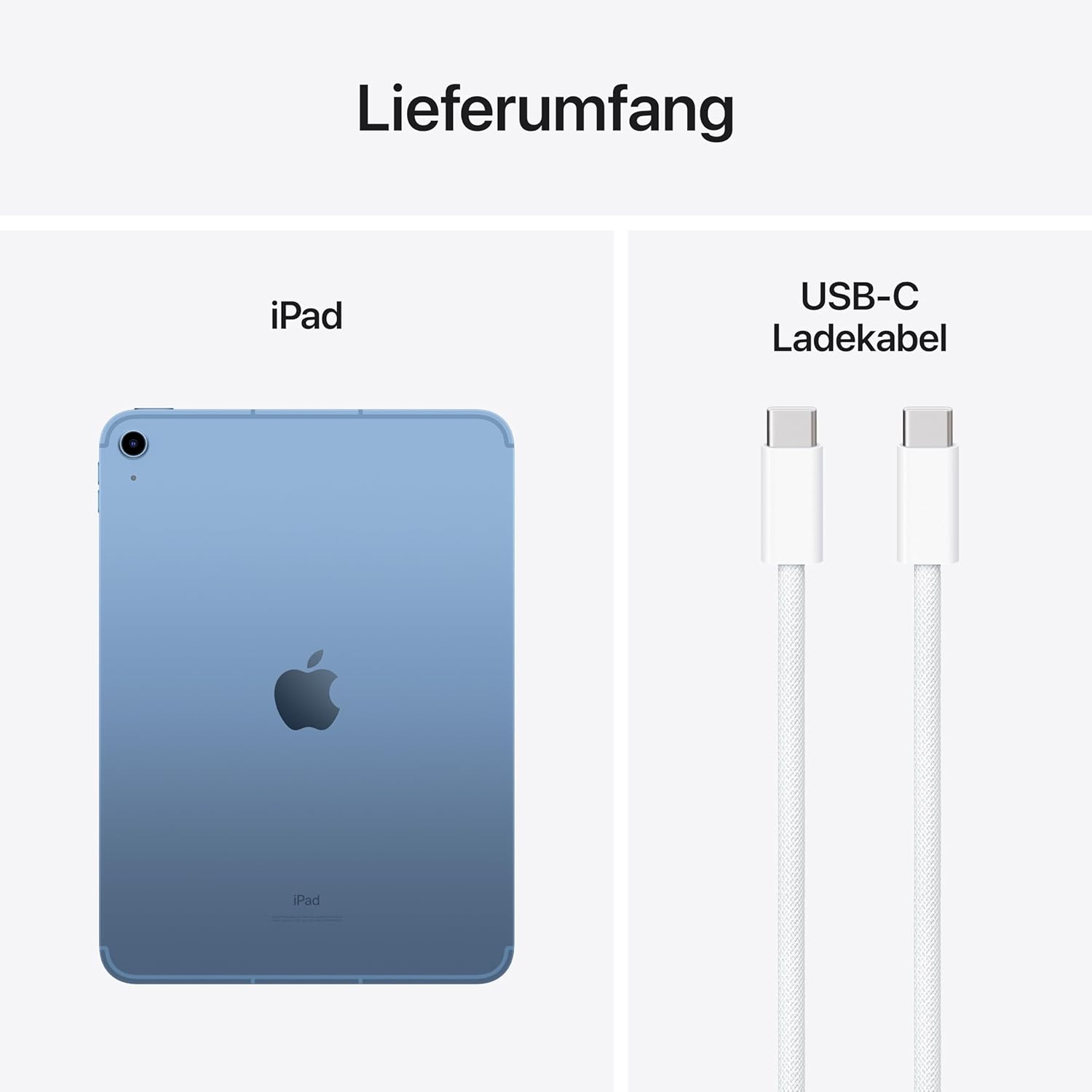 Apple 10,9