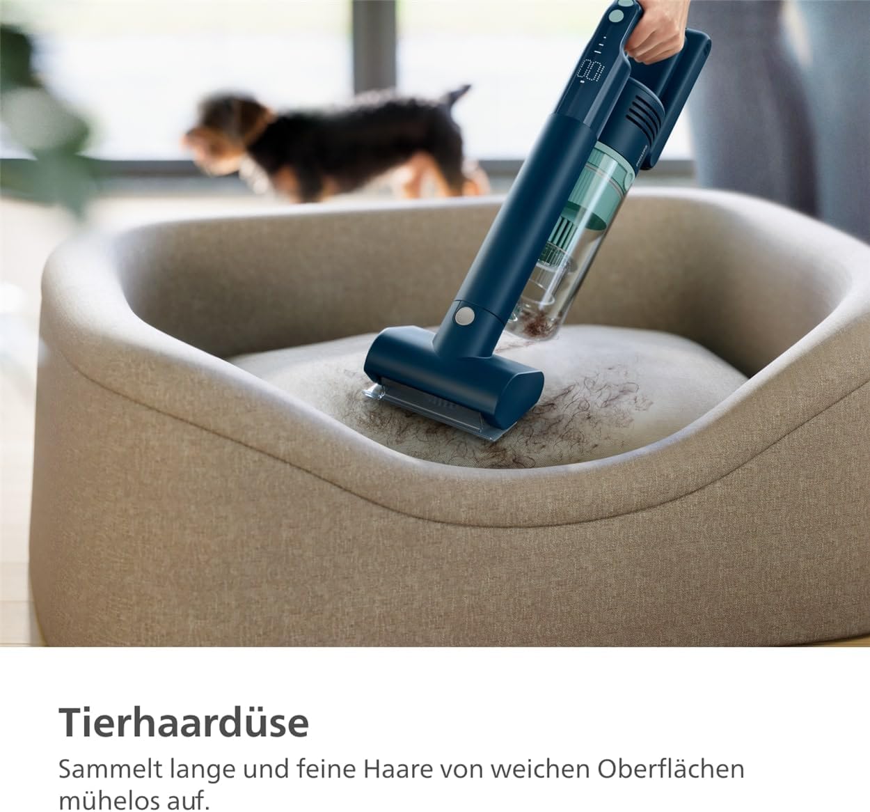 PHILIPS Akku-Staubsauger Kabellos 5000 Series für Tierhaare: Starke Saugkraft auf Teppichen & Hartböden. Multitalent, 60 Min. Laufzeit, LED-Düse, Tierhaar-Düse, Aqua-Modul (XC5142/01)